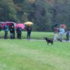 Regenwanderung Wanderung Prechtal